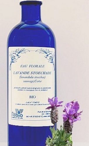 Lavande stoechade Bio - 200ml, 1000ml